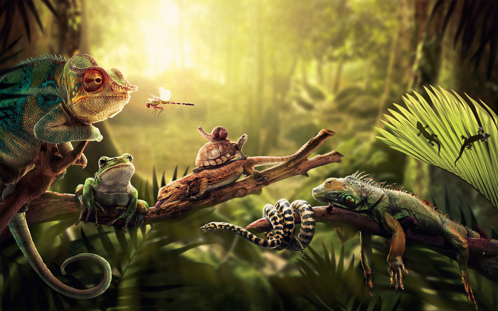 Reptiles and Amphibians