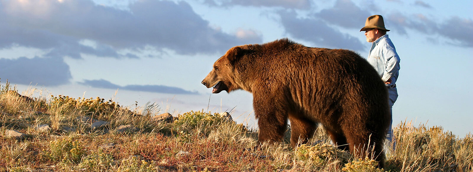 Grizzly Conservation