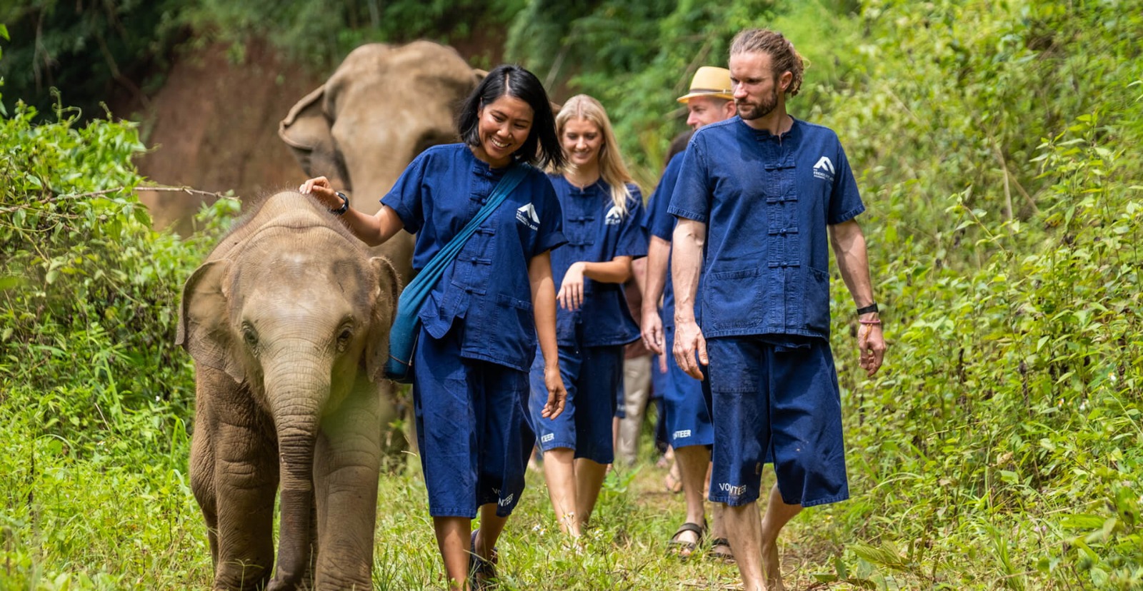Elephant orphanage